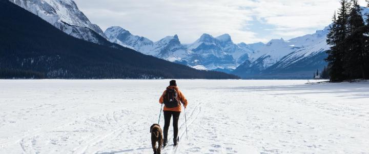 Half Day Backcountry Nordic Skiing